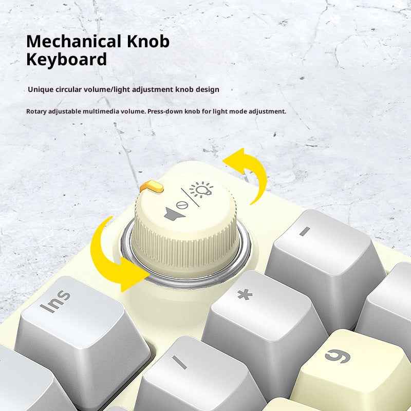 T50 Mechanical Keyboard 97-Key Wired Gaming Keyboard with RGB Light and Multimedia Knob for PC - White-Gray